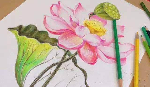暑期美术体验课:99元\/4节\/8课时。