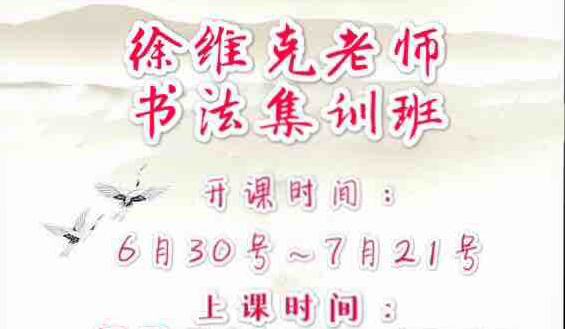 徐维克老师暑假书法考级集训班